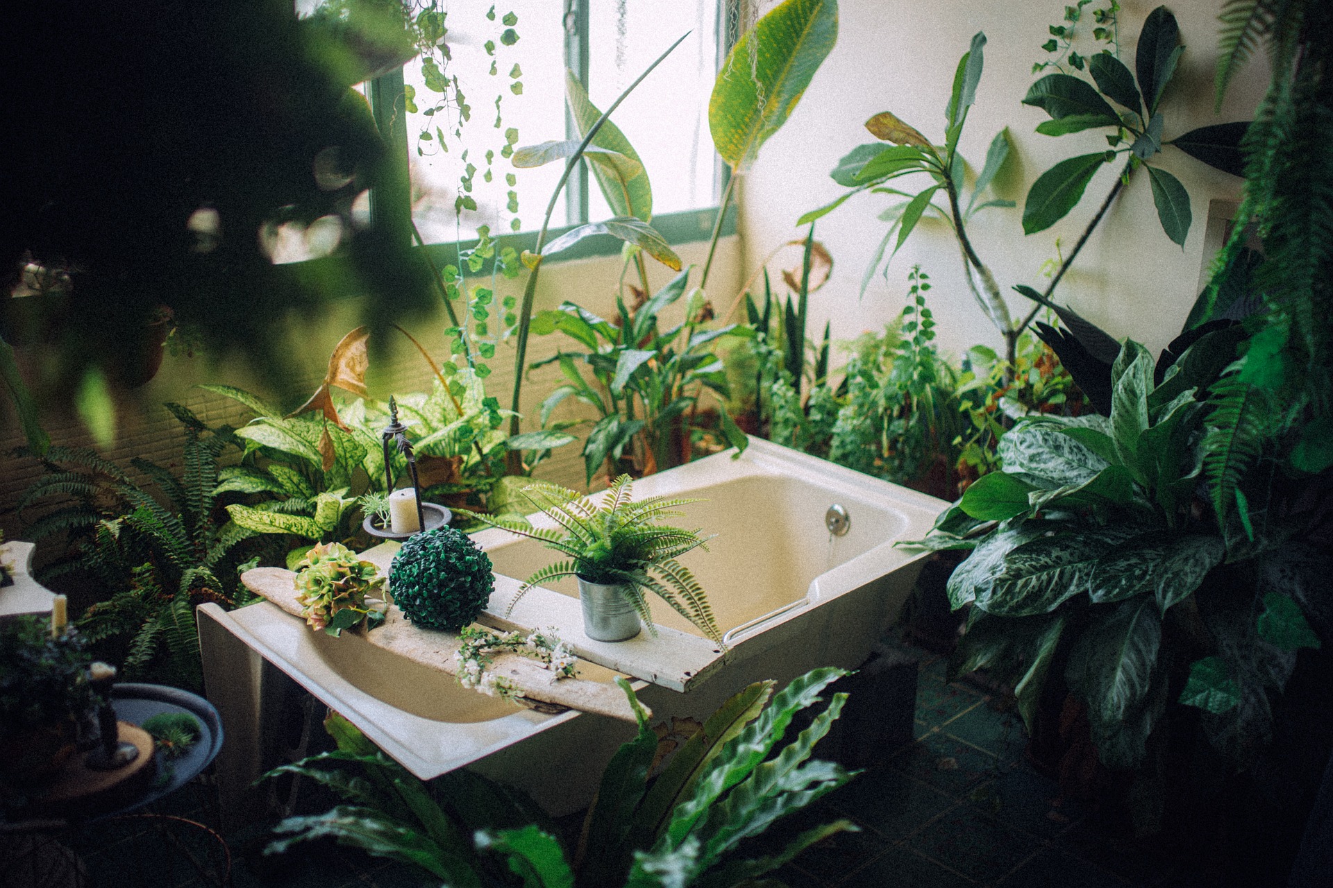 Read more about the article Elevate Your Bathroom Decor with Plants    10 Greenery Ideas for a Soothing Bath Oasis