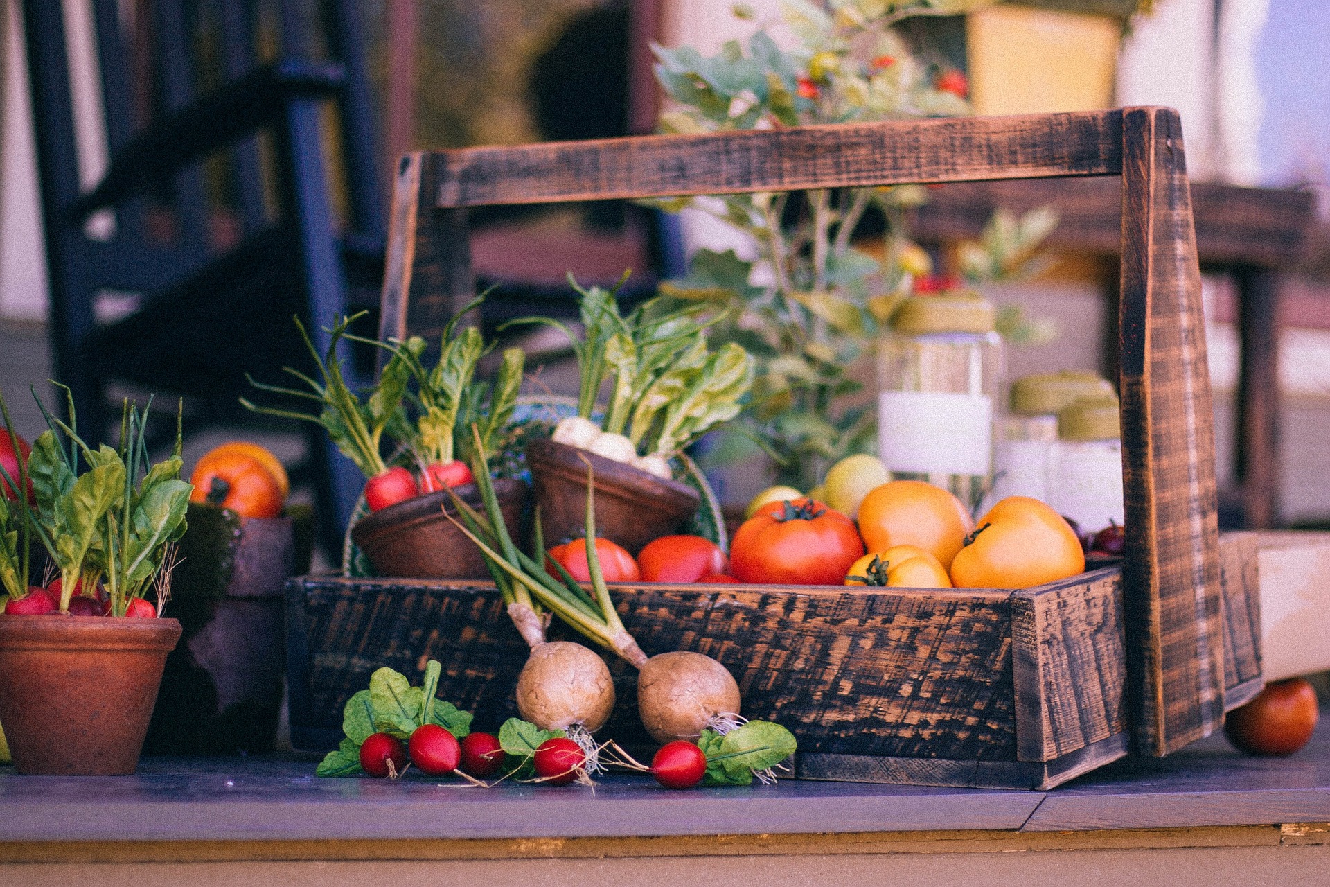 Read more about the article Harvest Bounty,  Quick-Growing Vegetables to Plant in the Fall for a Delicious Harvest Bowl