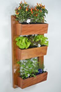 Read more about the article Embracing Green Walls and Vertical Gardens: A Guide to Vertical Gardening