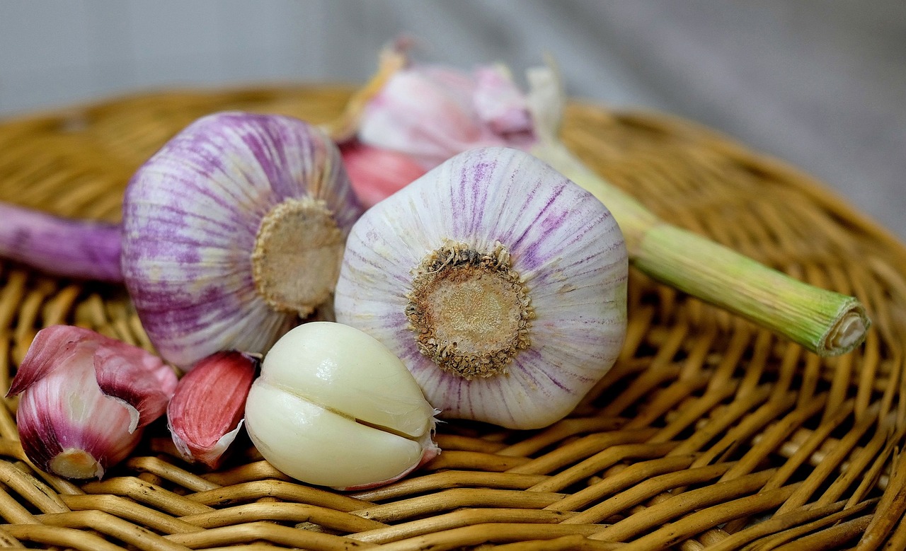 Read more about the article Garlic Planting Tips for a Thriving Garden in Fall