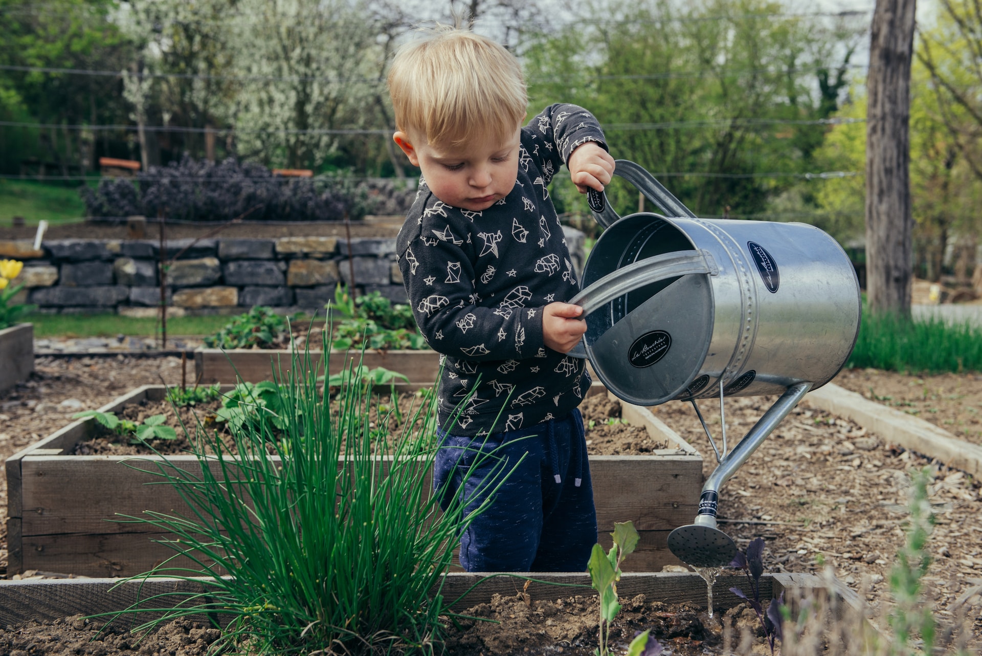 Read more about the article Gardening tips for every gardener