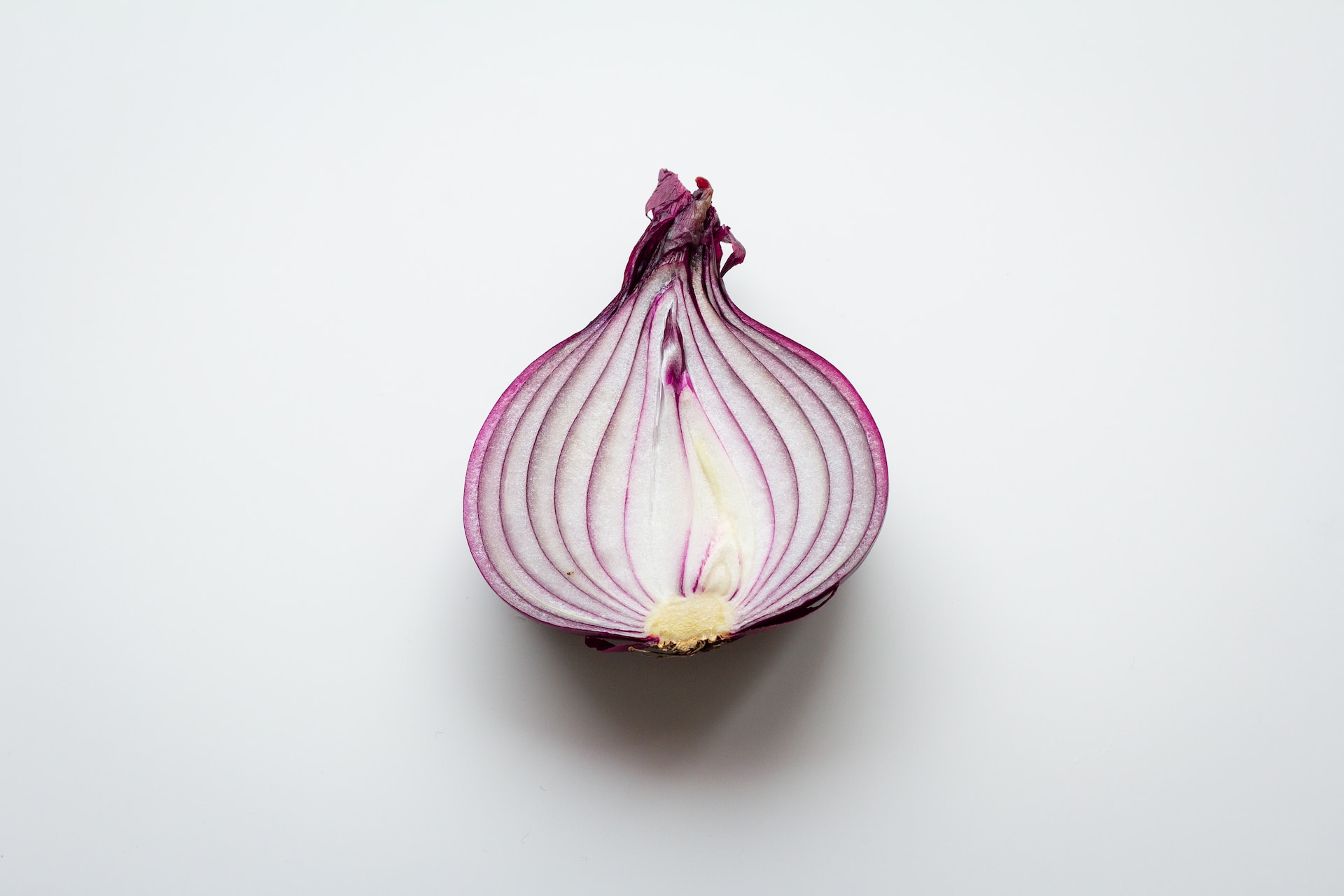 Read more about the article Growing Onions at Home, A Comprehensive Guide